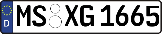 MS-XG1665