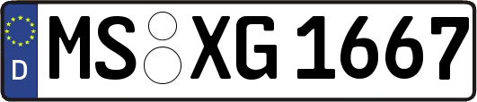 MS-XG1667