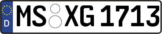 MS-XG1713