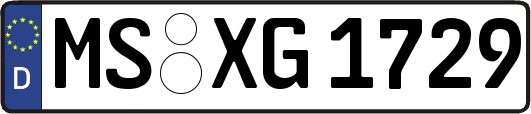 MS-XG1729