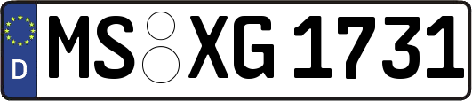 MS-XG1731