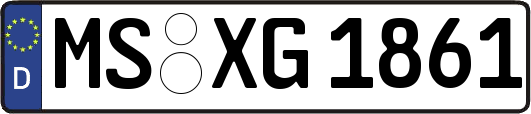 MS-XG1861