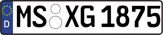 MS-XG1875