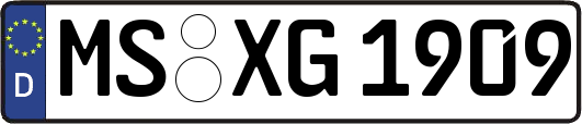 MS-XG1909
