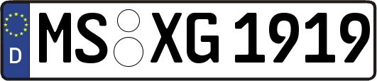 MS-XG1919