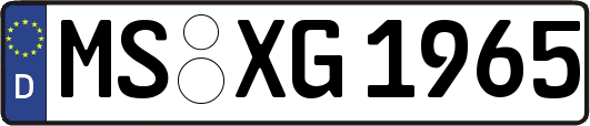 MS-XG1965
