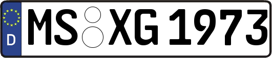 MS-XG1973