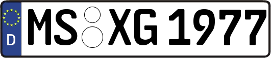 MS-XG1977