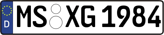 MS-XG1984