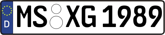 MS-XG1989