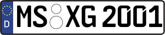 MS-XG2001