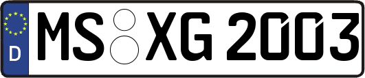 MS-XG2003
