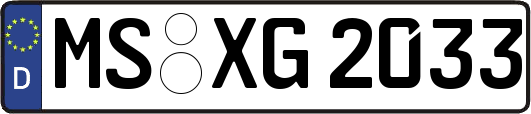 MS-XG2033