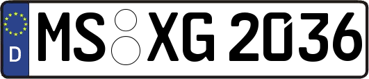MS-XG2036
