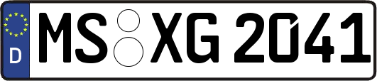 MS-XG2041
