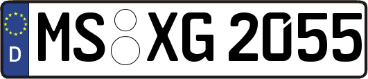 MS-XG2055