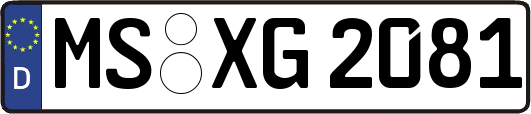 MS-XG2081
