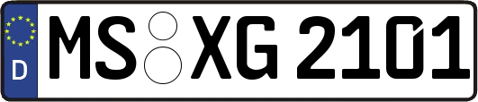 MS-XG2101