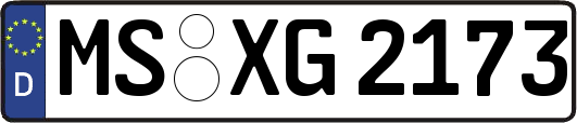MS-XG2173