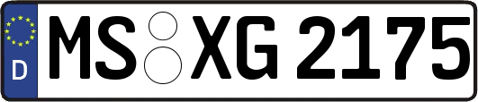 MS-XG2175