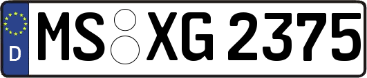 MS-XG2375