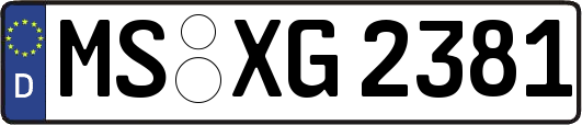 MS-XG2381