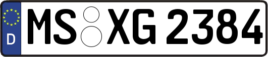 MS-XG2384