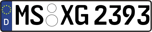 MS-XG2393