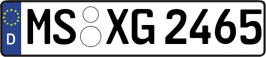MS-XG2465