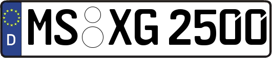 MS-XG2500