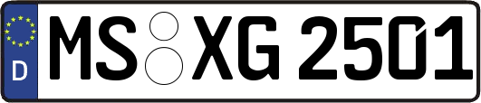 MS-XG2501