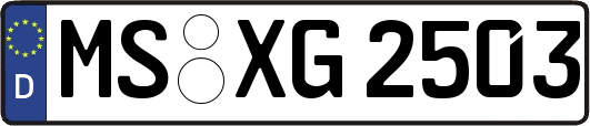 MS-XG2503