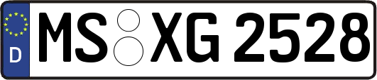 MS-XG2528