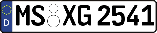 MS-XG2541