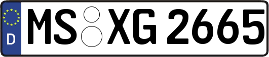 MS-XG2665