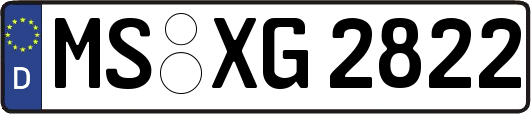 MS-XG2822