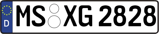 MS-XG2828