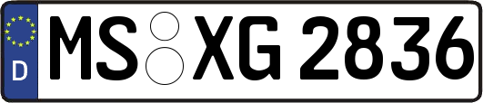 MS-XG2836
