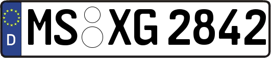 MS-XG2842