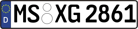 MS-XG2861