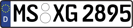 MS-XG2895