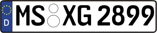 MS-XG2899
