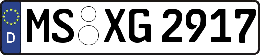MS-XG2917