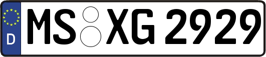 MS-XG2929