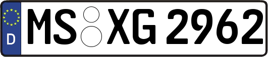 MS-XG2962