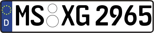MS-XG2965