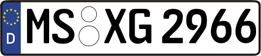 MS-XG2966