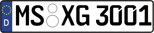 MS-XG3001