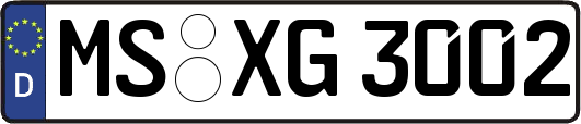 MS-XG3002