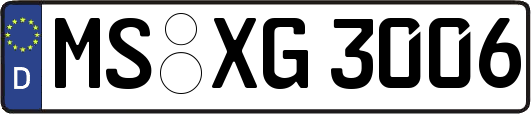 MS-XG3006